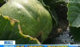 带你吃瓜说城市