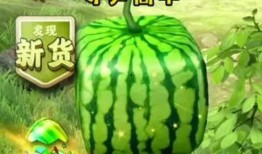 吃瓜吸欧气,揭秘网络热词背后的文化现象