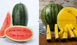 今日吃瓜路线,揭秘娱乐圈最新热点事件