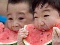 纳凉吃瓜,探寻消暑美食的乐趣