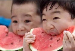 纳凉吃瓜,探寻消暑美食的乐趣
