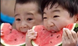 纳凉吃瓜,探寻消暑美食的乐趣