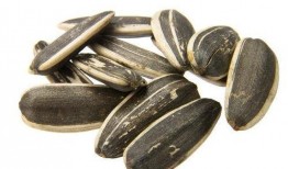 梦见吃瓜还有瓜子儿,揭秘吃瓜与瓜子儿的神秘寓意