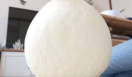 带你吃瓜宠物鸭,带你领略“吃瓜”宠物鸭的独特魅力