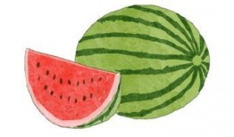 花样吃瓜的视频,解锁夏日美食新姿势