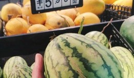 小欣吃瓜,揭秘娱乐圈那些不为人知的幕后故事