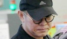 吃瓜李连杰,李连杰的传奇人生与幕后故事