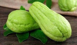 怎样做佛手瓜吃,多样烹饪方法大揭秘