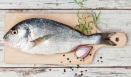 鲨鱼不杀鱼 吃瓜,揭秘海洋生物的和谐共生