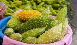 纹密瓜怎么吃,解锁夏日清新美味