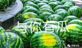 大学座椅吃瓜,一场场校园“吃瓜”大戏