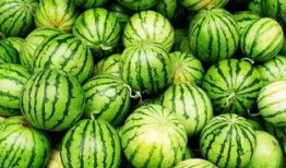 吃瓜觉得苦,揭秘生活中的酸甜苦辣