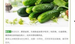 掌中之物吃瓜,揭秘吃瓜群众的狂欢盛宴