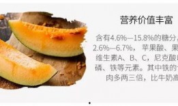 吃瓜无后代,无后代背后的社会思考