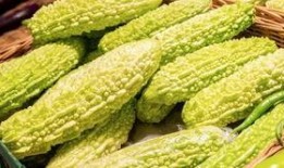 只吃虫不吃瓜,探寻只吃虫不吃瓜的神秘生物之谜