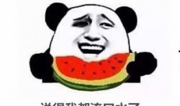 吃瓜恶搞朋友圈,揭秘网络笑料背后的趣味与争议