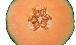 孕妇梦见吃哈密瓜 土瓜,孕妇梦见哈密瓜与土瓜的寓意与启示