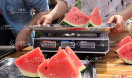 聊城今日吃瓜,瓜田里的新鲜事儿