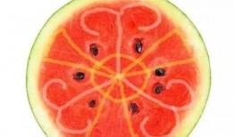 吃瓜的等级划分,从初级小白到资深专家的进阶之路