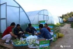 河水吃瓜,夏日河畔的悠闲时光