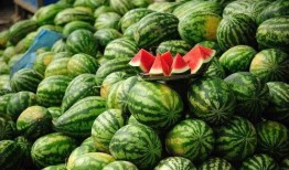 逆岁寒吃瓜,揭秘娱乐圈的瓜田秘闻