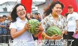 吃瓜天降,揭秘娱乐圈的神秘事件与幕后真相