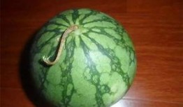 吃瓜网必看大瓜,吃瓜网必看大瓜盘点