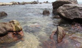 海角姐弟吃瓜合集