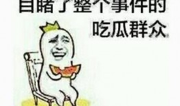 吃瓜群众高手,揭秘网络舆论背后的真相