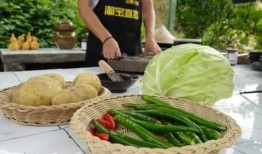 天府新区吃瓜,瓜果飘香，品味生活新境界