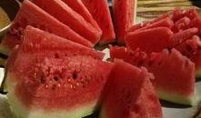 张掖市吃瓜,尽享夏日美味之旅