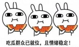 吃瓜尖叫声,揭秘吃瓜群众的尖叫瞬间