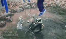 吃瓜意外落水视频,吃瓜群众成焦点