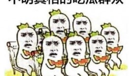 恶搞军训吃瓜,吃瓜群众围观“瓜田”奇观