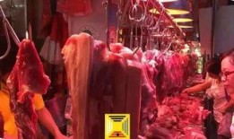 吃瓜屠夫,揭秘娱乐圈背后的真相与笑料