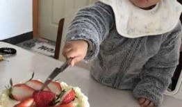 瓜妞半夜吃蛋糕,甜蜜梦境中的美食狂欢