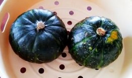 贝贝瓜的瓜和头可以吃吗