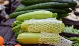 最精神的吃瓜,探寻最精神吃瓜者的独特食趣