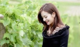 带你吃瓜赵薇,揭秘娱乐圈那些事儿