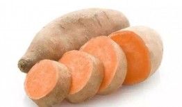 麻瓜地瓜能一起吃吗,能否共融一餐？