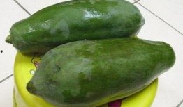 母瓜怎么吃最好,解锁最佳食用之道