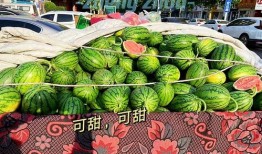 郑州吃瓜视频,揭秘街头美食背后的故事