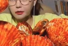 多萝西吃瓜,多萝西的瓜界探险记