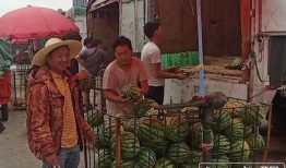 县委大院吃瓜群众,吃瓜群众揭秘官场风云