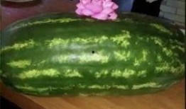 地铁口躺着吃瓜的