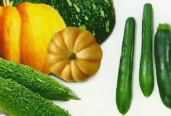 潮头吃瓜,揭秘网络热点的背后真相