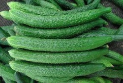 吃瓜涩涩,揭秘娱乐圈背后的酸甜苦辣