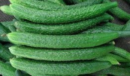 吃瓜涩涩,揭秘娱乐圈背后的酸甜苦辣