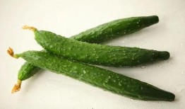 吃脆瓜过敏了,揭秘过敏反应背后的真相