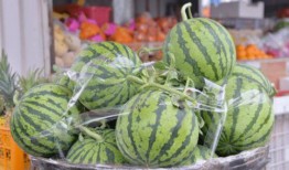 瓜坏了可以吃吗,瓜坏后还能食用吗？揭秘瓜果变质真相